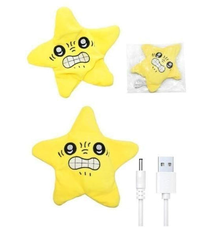 Rechargeable Talking Star Baby Toys